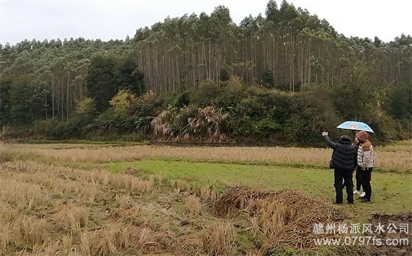 克孜勒苏柯尔克孜自治州陈老师带着爱徒寻龙点穴